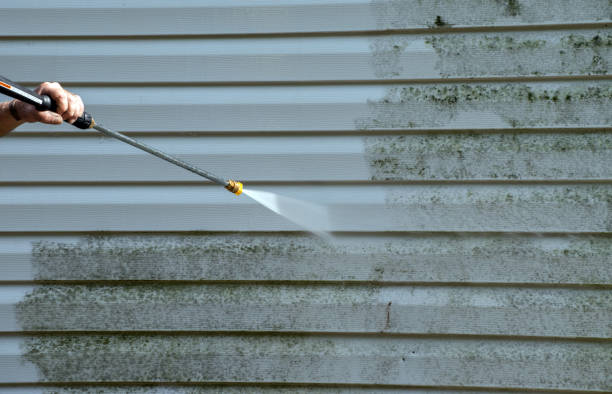 Best Fence Cleaning  in Cold Springs, NV