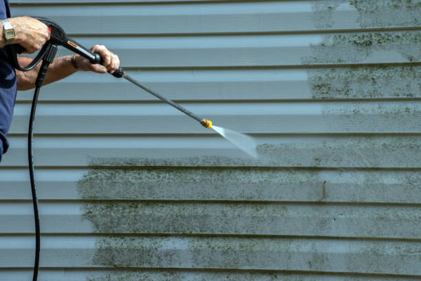 Best Solar Panel Cleaning  in Cold Springs, NV