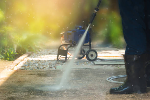 Animal Enclosure Cleaning in Cold Springs, NV